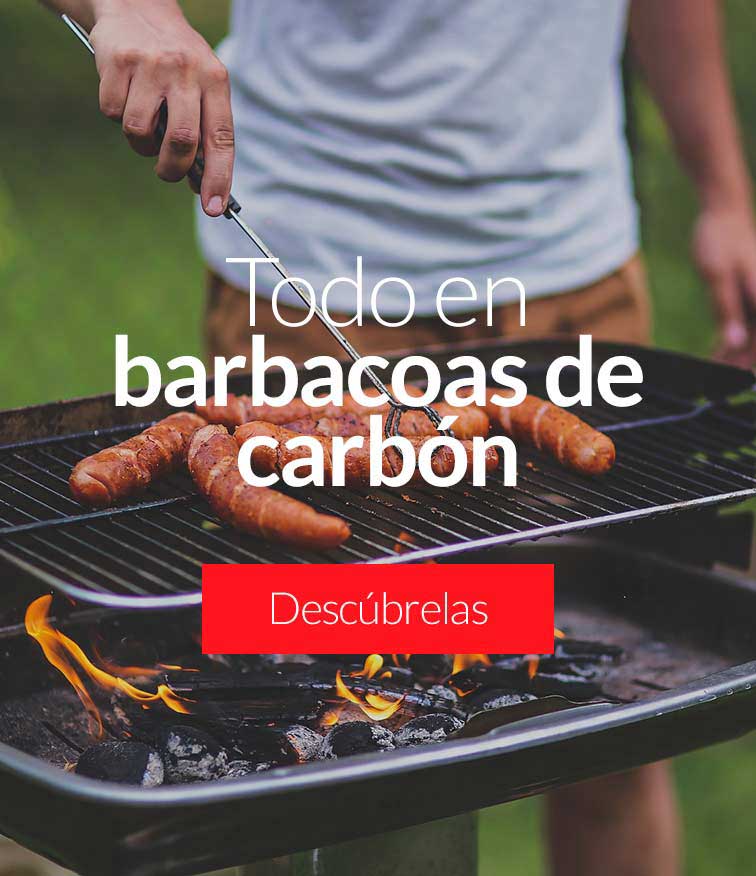 Todo en barbacoas de carbón